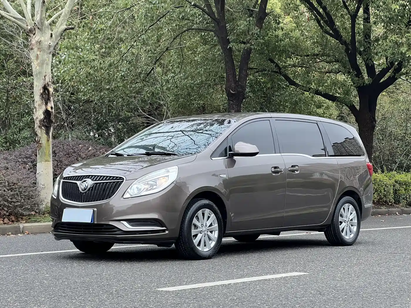 Buick GL8 2017 25S Comfort China V фото 2