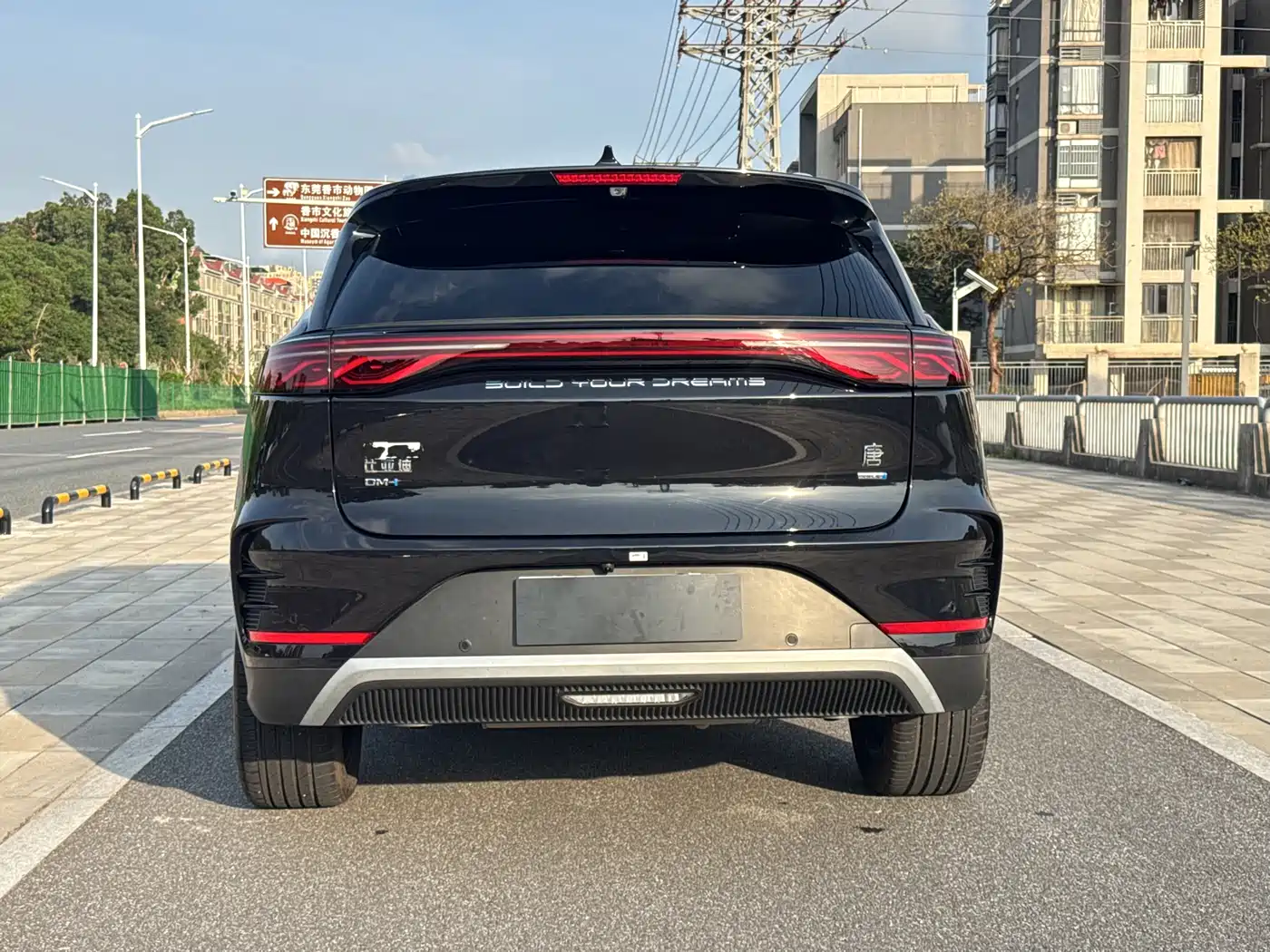 BYD Tang New Energy 2025 Smart Driving Edition DM-i 115KM Flagship фото 6
