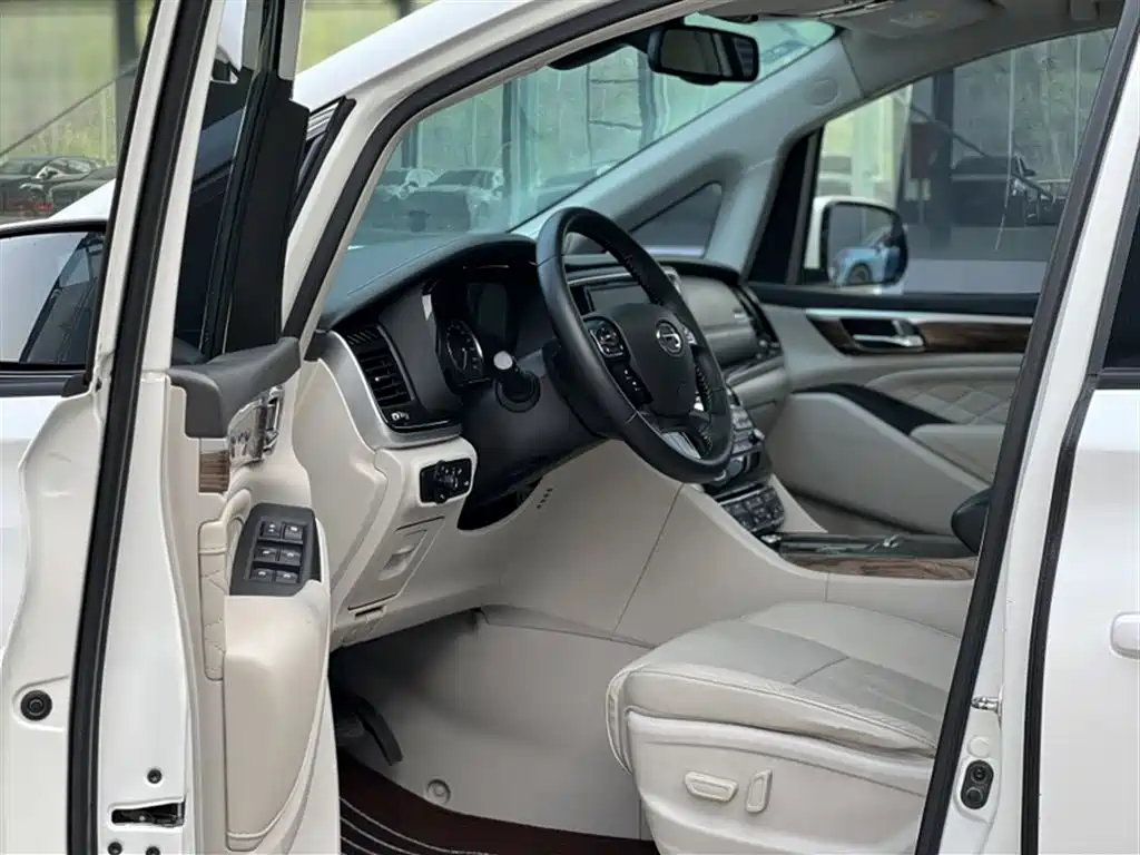 GAC Trumpchi Trumpchi M8 2018 320T Premium Edition фото 20