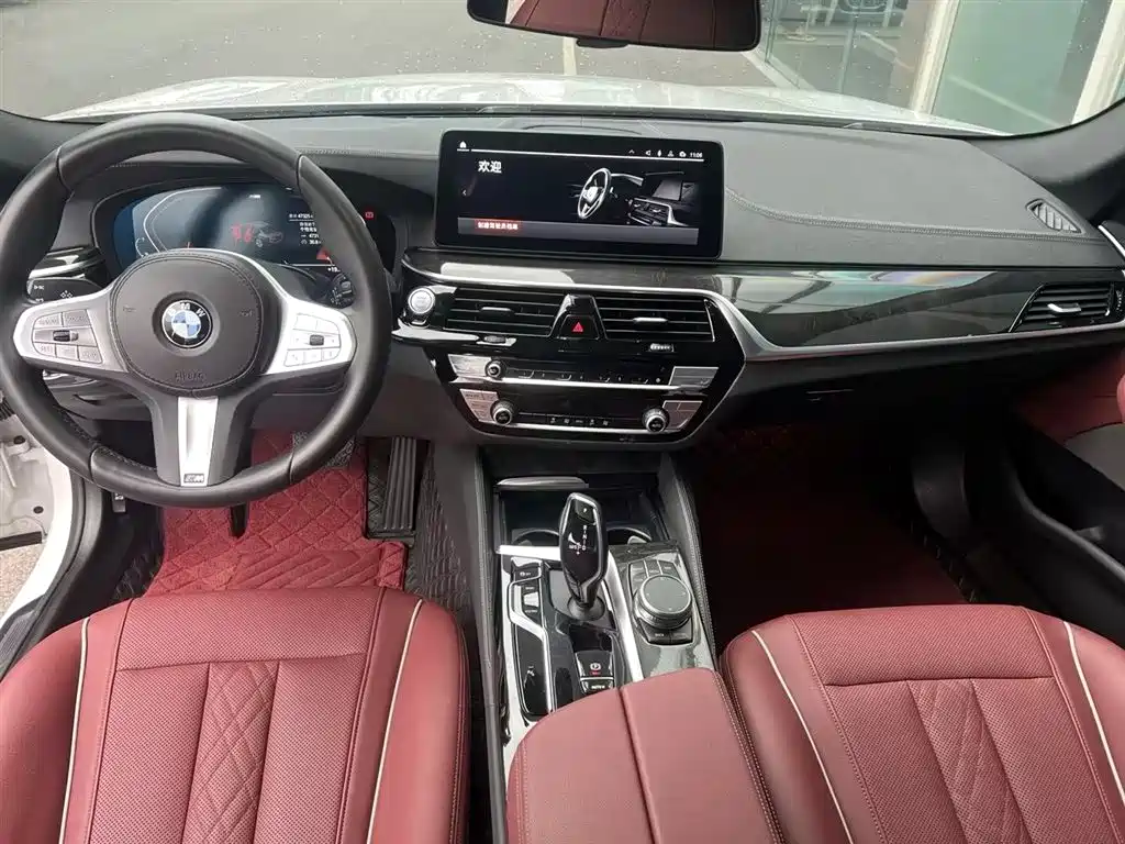 BMW 5 SERIES