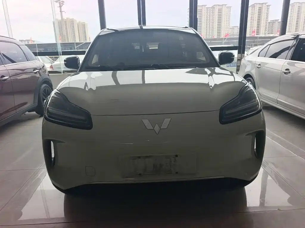 Wuling Motors Wuling Binguo PLUS 2025 2024 Model 330km 5-Seater