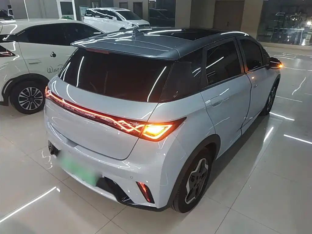 BYD Dolphin 2021 Model 405km Fashion Edition фото 7