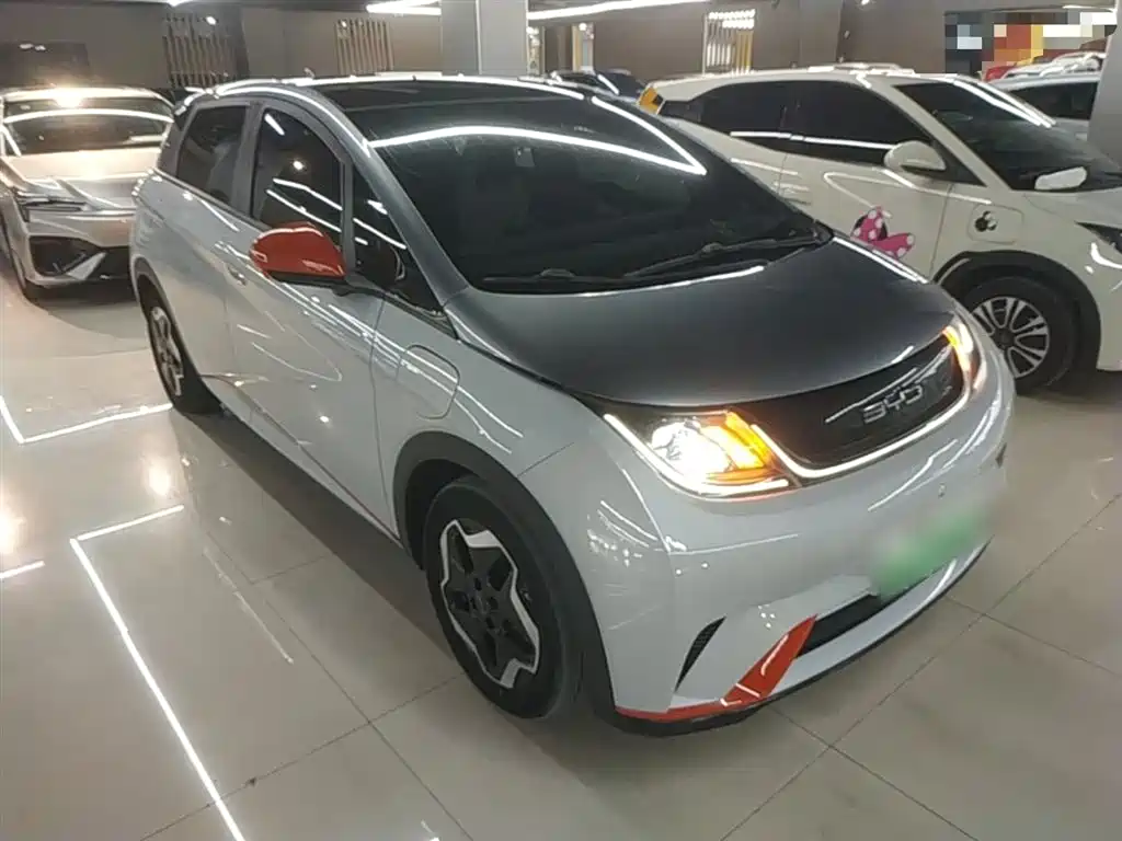 BYD Dolphin 2021 Model 405km Fashion Edition фото 4