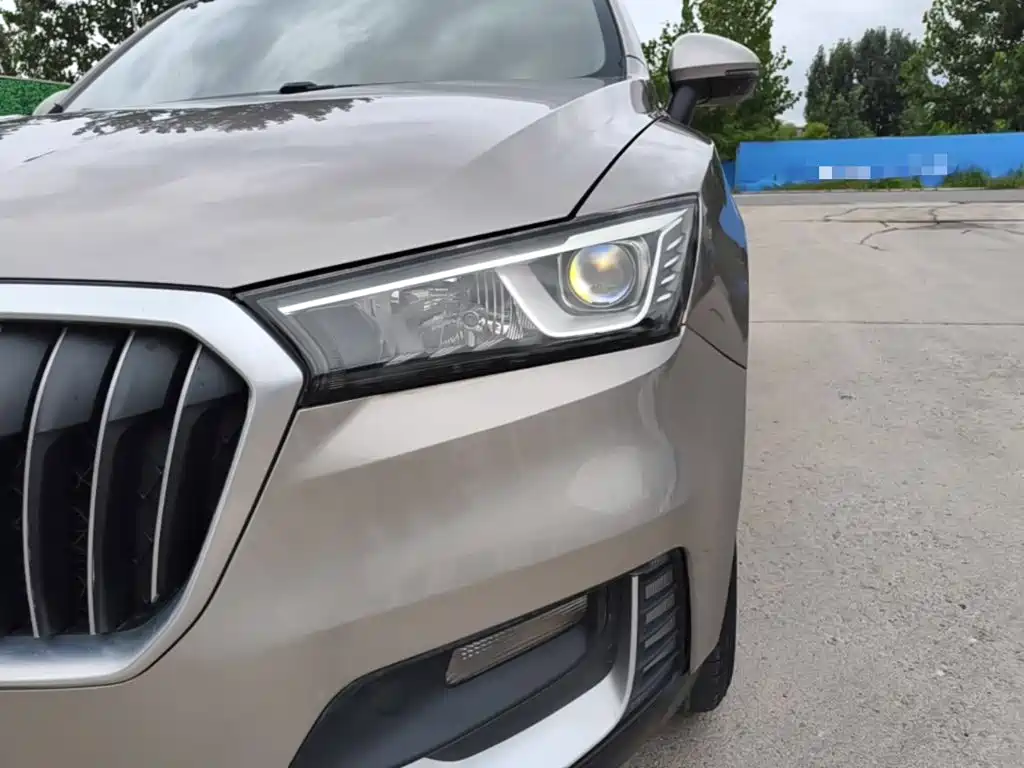 Borgward BX5 2019 2020 20TGDI Automatic 2WD Pioneer Edition