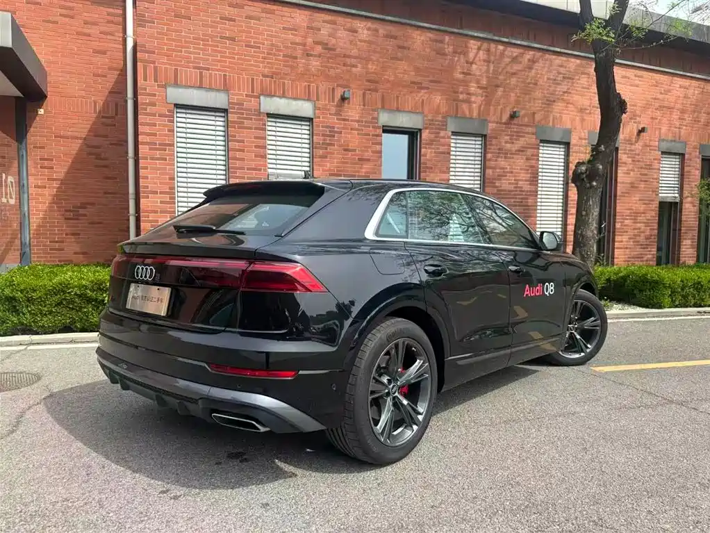 Audi Q8 2024 55 TFSI Luxury Sport фото 4