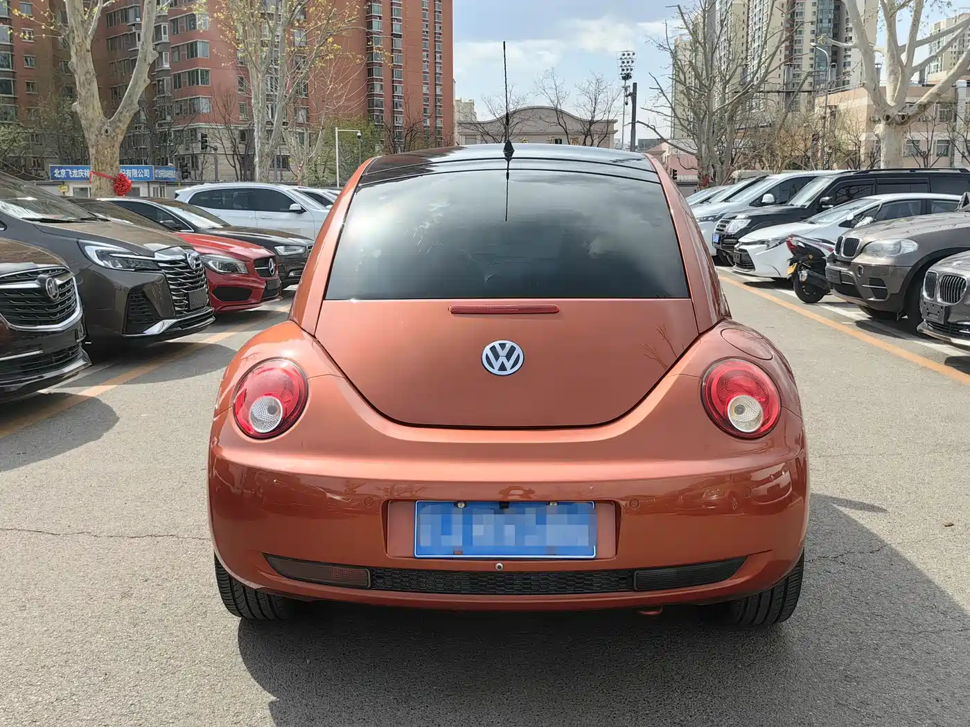 Volkswagen Beetle 2010 1.8T BlackOrange Luxury Edition фото 3
