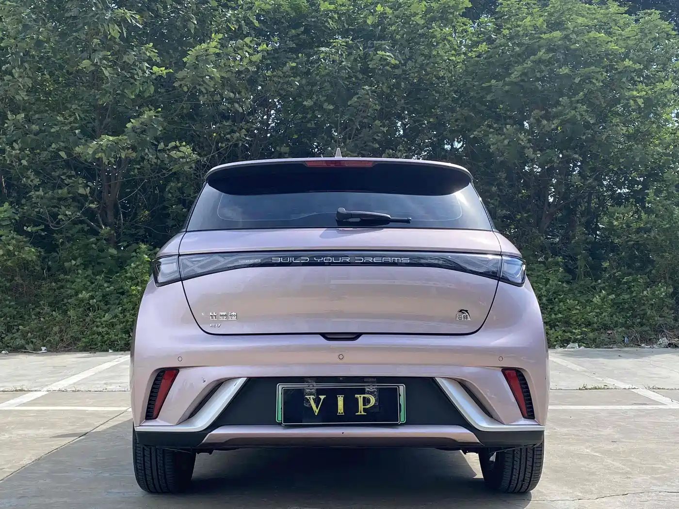 BYD Dolphin 2023 420km Fashion Edition фото 7