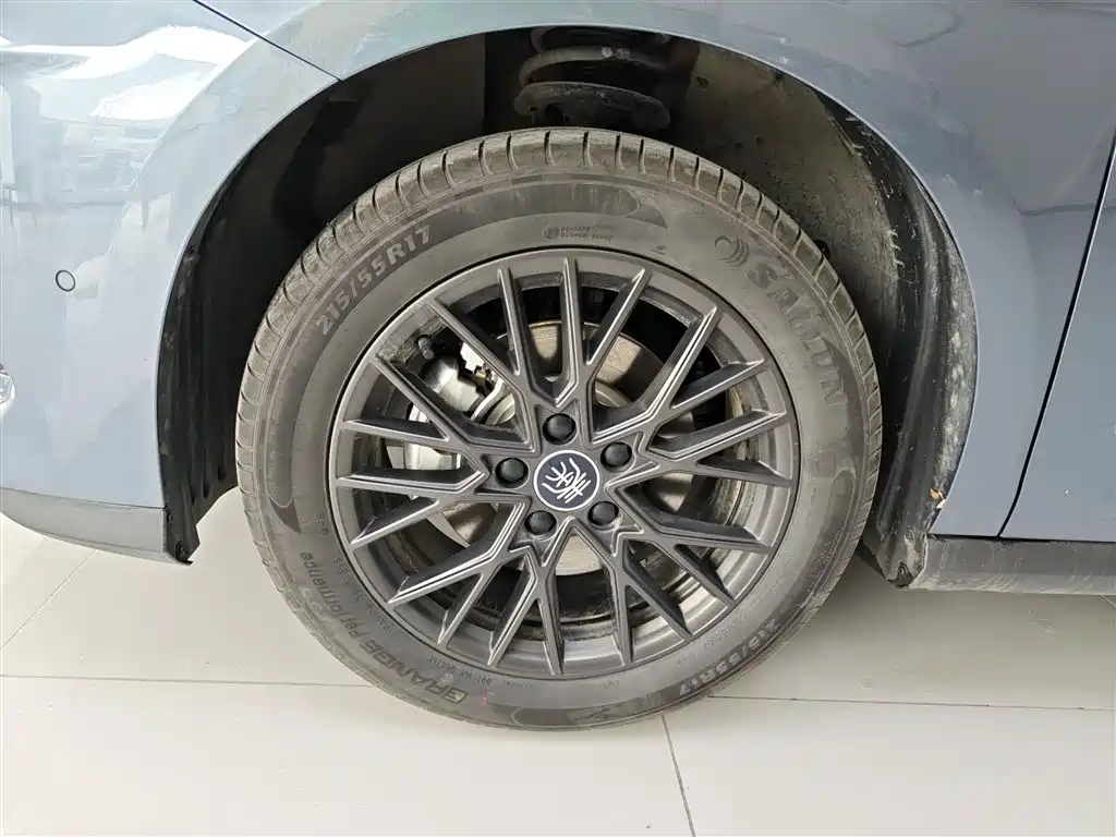 BYD Qin PLUS 2025 EV Smart Drive Edition 420KM Leading Type фото 23