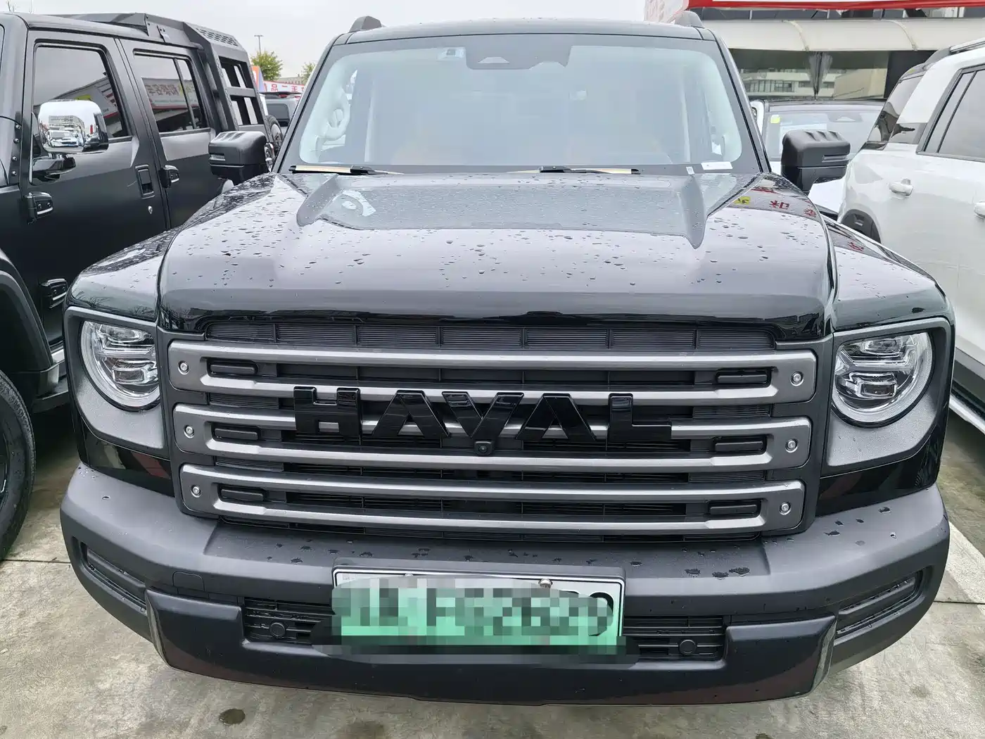 HAVAL RAPTORS NEW ENERGY