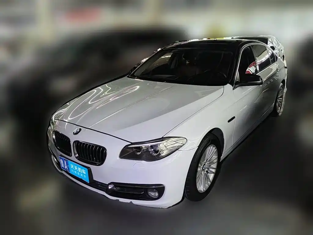 BMW BMW 5 Series 2014 525Li Leading