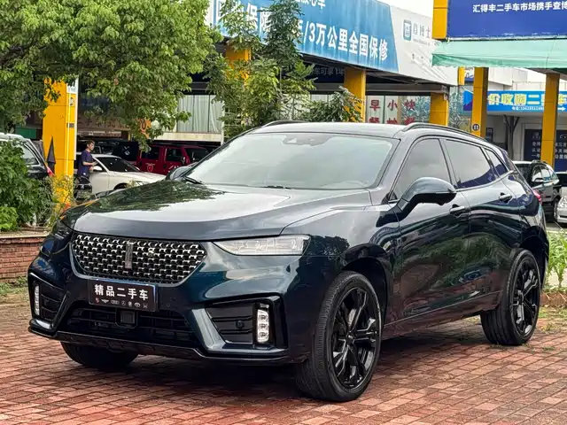 WEI PAI WEI BRAND VV7