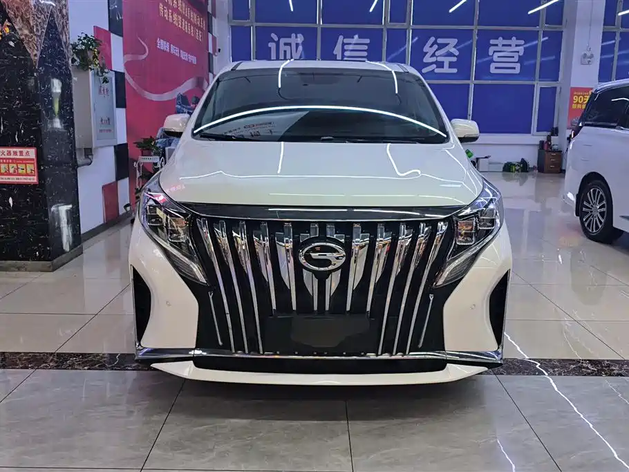 GAC Trumpchi Trumpchi M8 2021 Leading Show Series 390T Prestige Edition фото 2