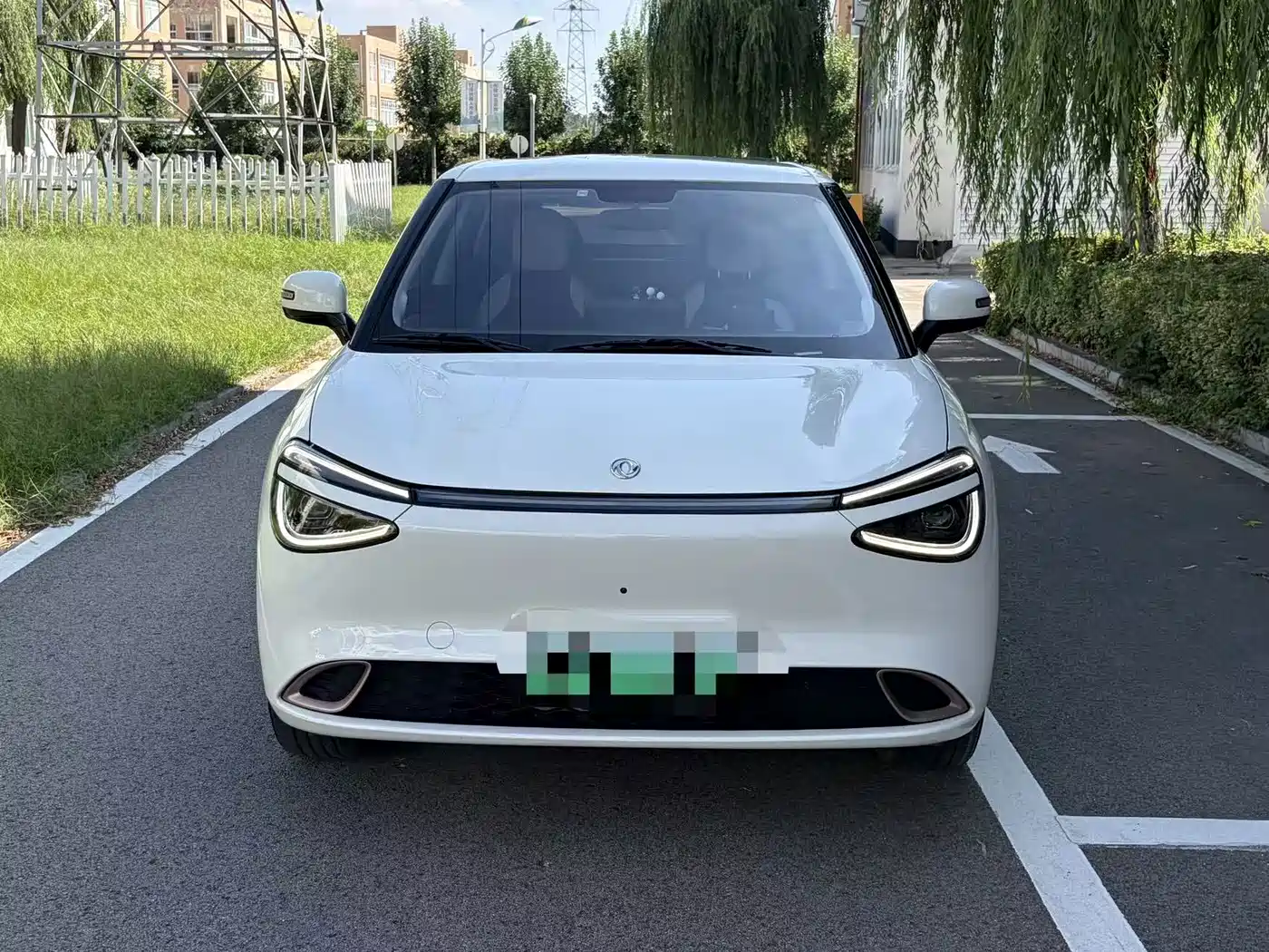 Dongfeng Yipai Nano 01 2025 2025 330 Driving Training Edition