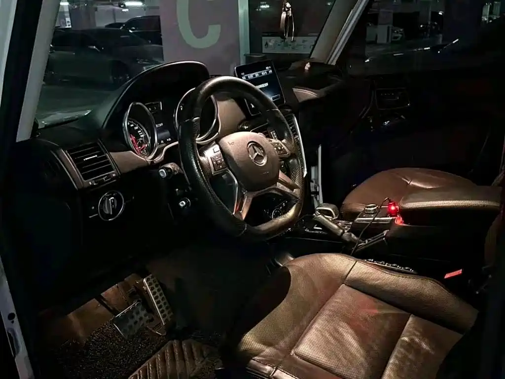 Mercedes-Benz G-Class 2016 G 500 фото 9