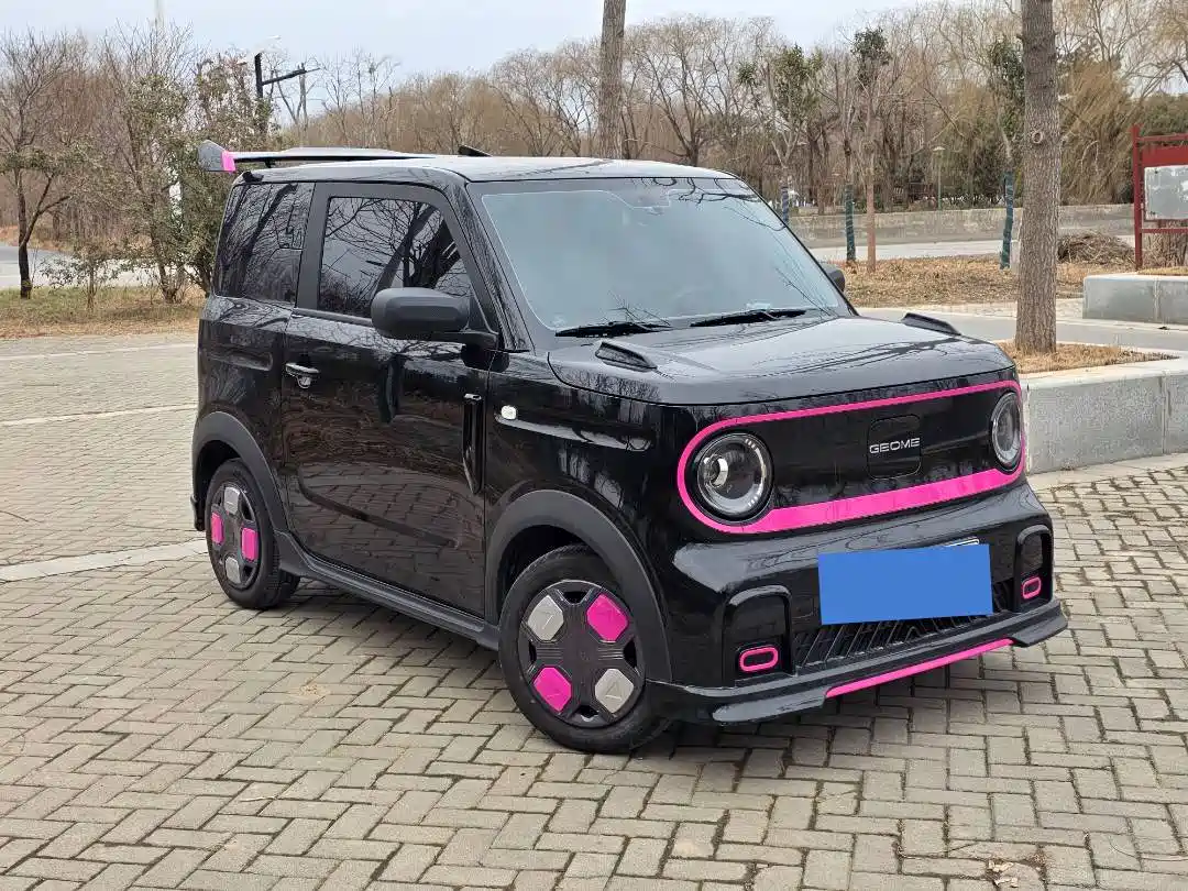 Geely Galaxy Panda 2026 2025 Model Year 210km Panda Kart