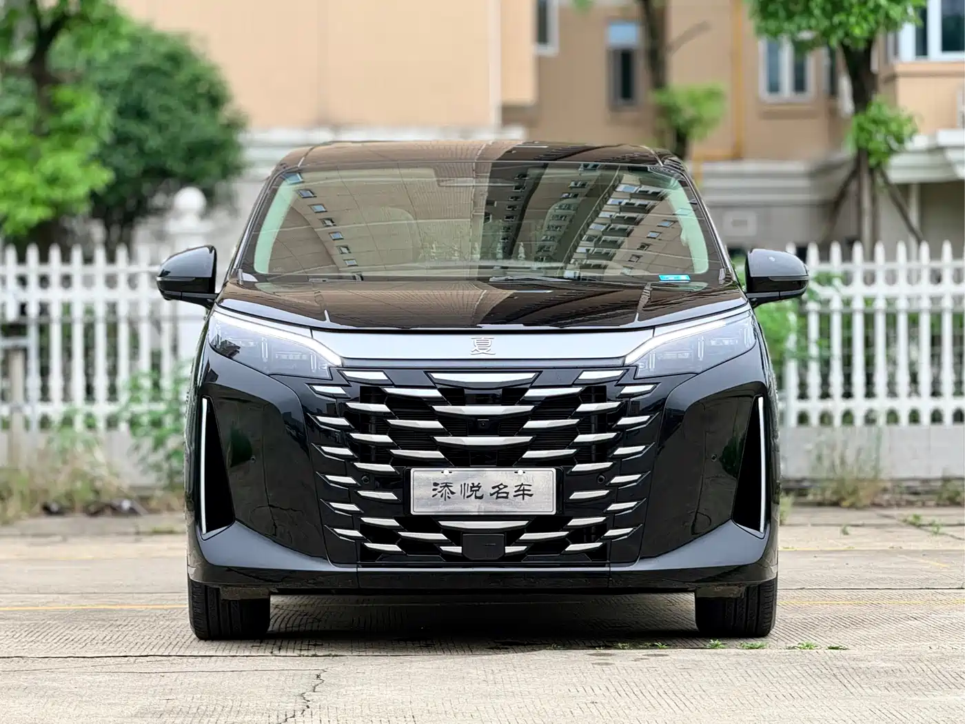BYD Xia 2025 DM-i 1.5T 180km Excellence