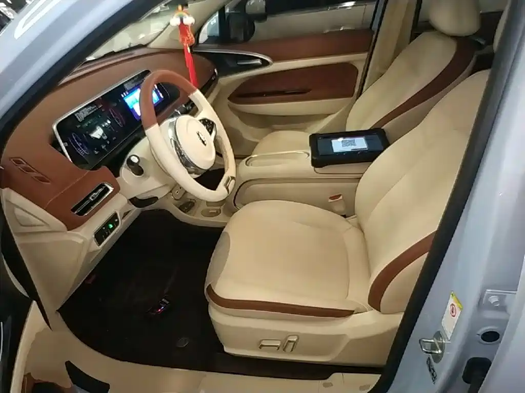Ora Good Cat 2024 2023 401km Standard Range Luxury LFP