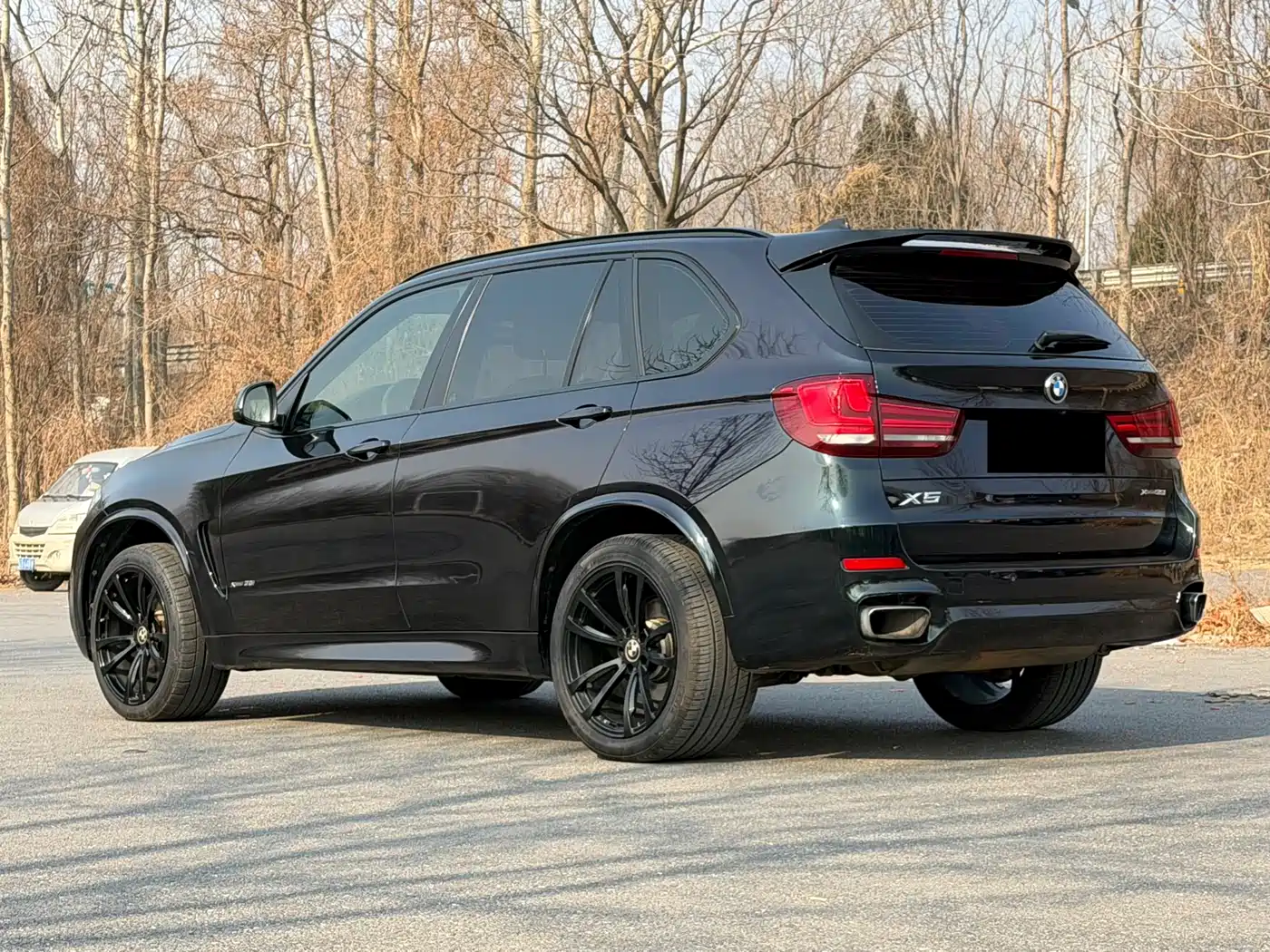 BMW X5 (Import) 2017 xDrive35i M Sport фото 4