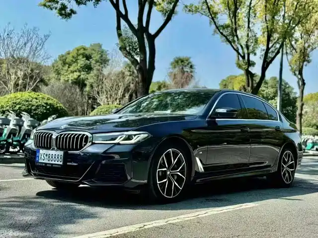 BMW 5 SERIES