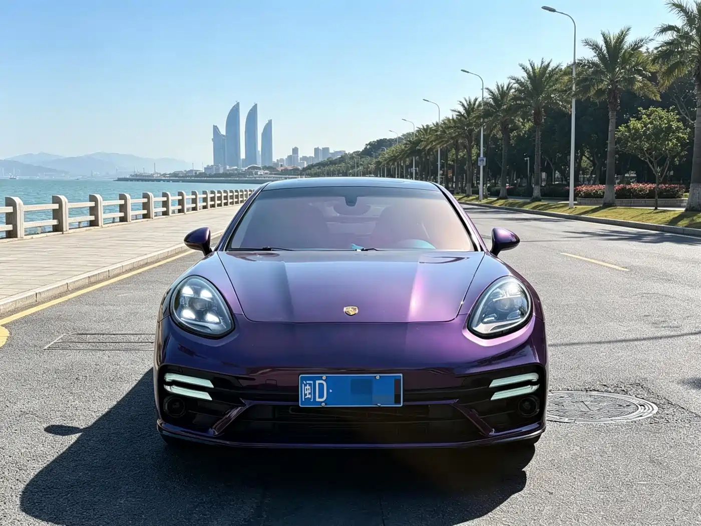 Porsche Panamera 2010 Panamera 3.6L фото 2