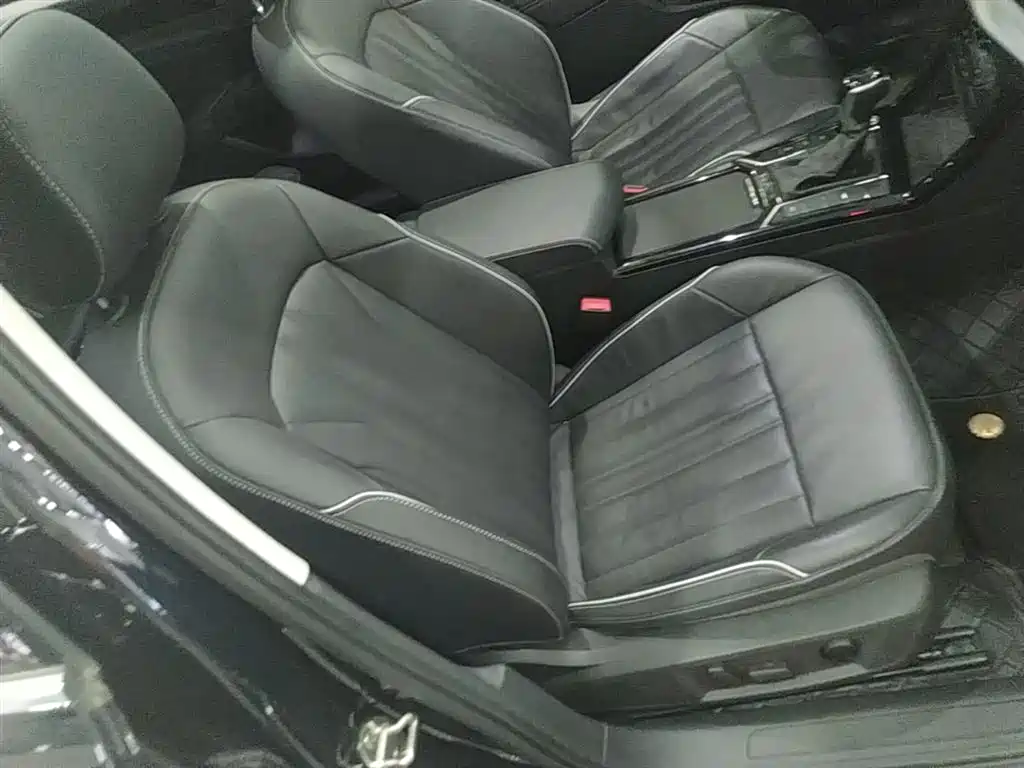 Volkswagen Passat 2023 330TSI Starlight Elite Edition фото 20
