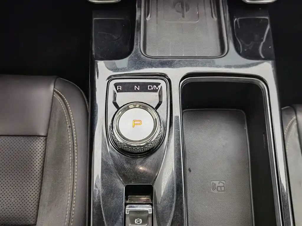 Haval Big Dog 2021 2.0T DCT AWD Howling Celestial Dog Edition фото 13