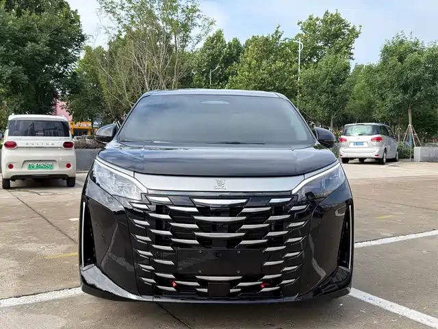  BYD Xia 2025 DM-i 1.5T 180km Surpass Edition