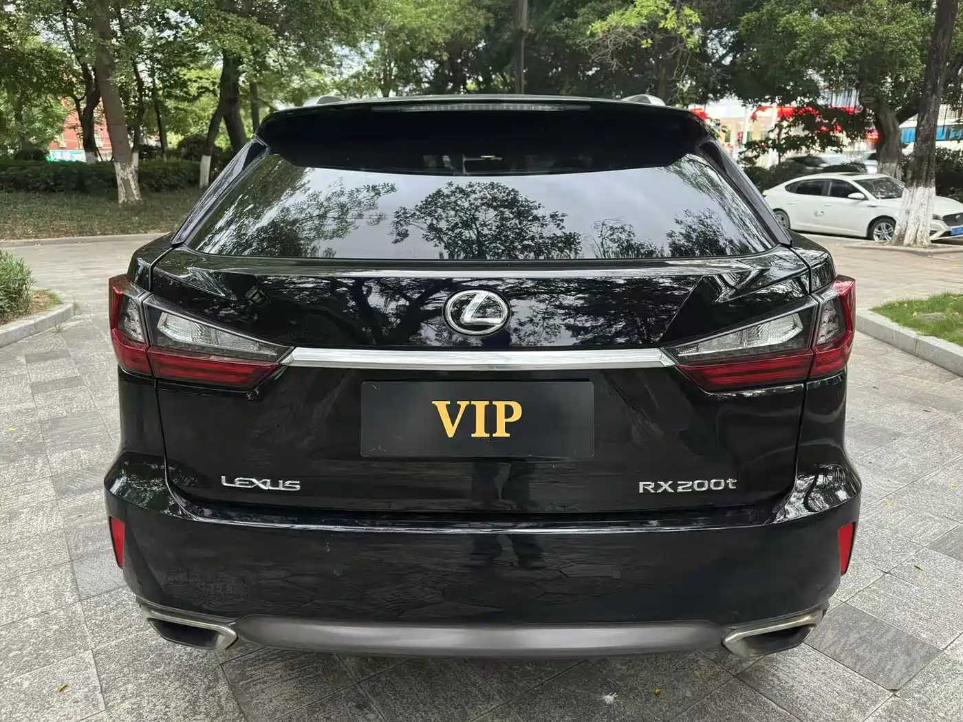Lexus RX 2016 2016 300 4WD Elegance Edition (China V)