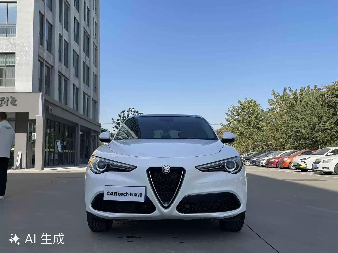Alfa Romeo Stelvio 2019 2017 2.0T 200HP Elite