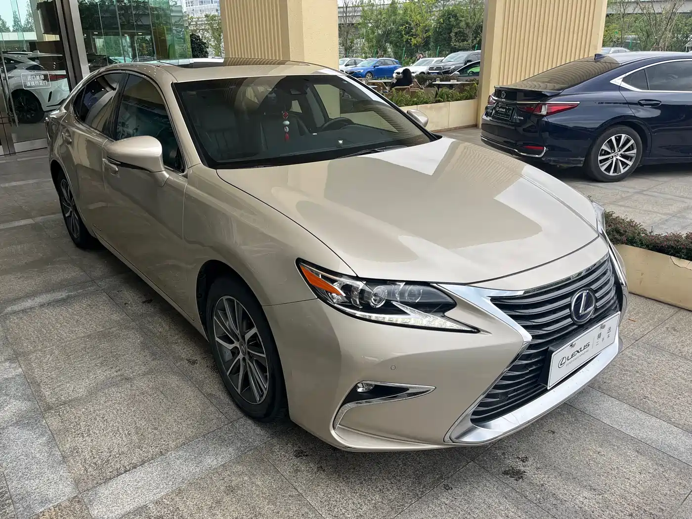 Lexus ES 2015 300h Luxury Edition фото 3