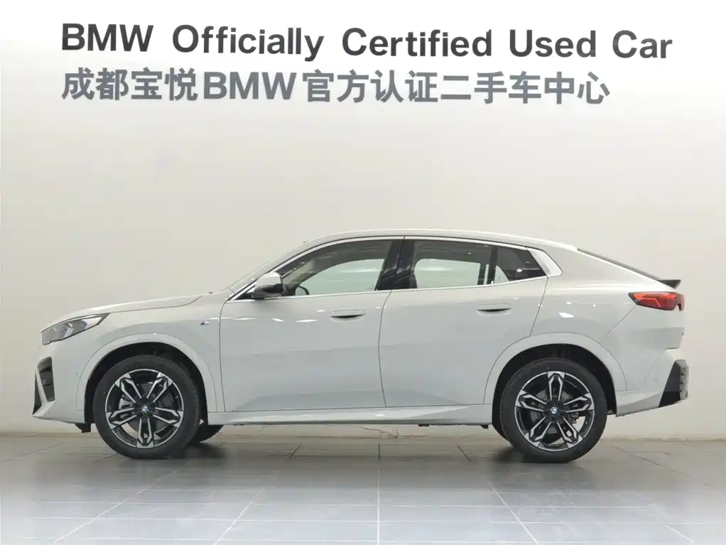 BMW X2 (Import) 2024 sDrive25i M Sport Package фото 4