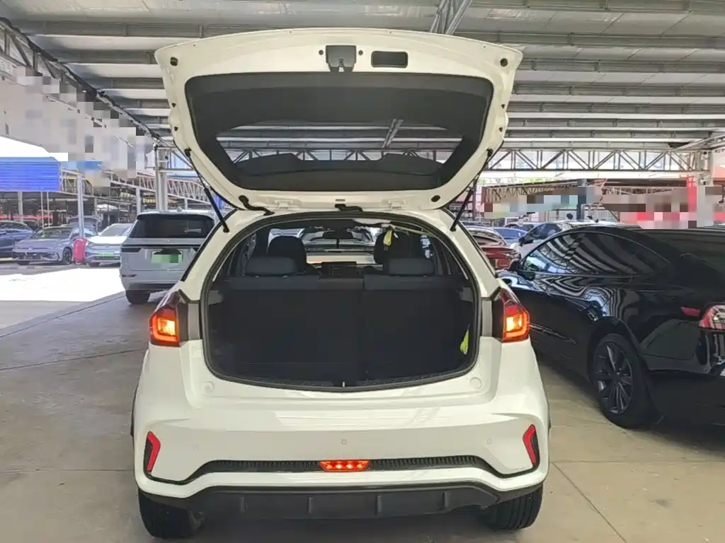 Geely Geometry EX3 Kung Fu Bull 2022 2021 Kung Fu Niu Niu