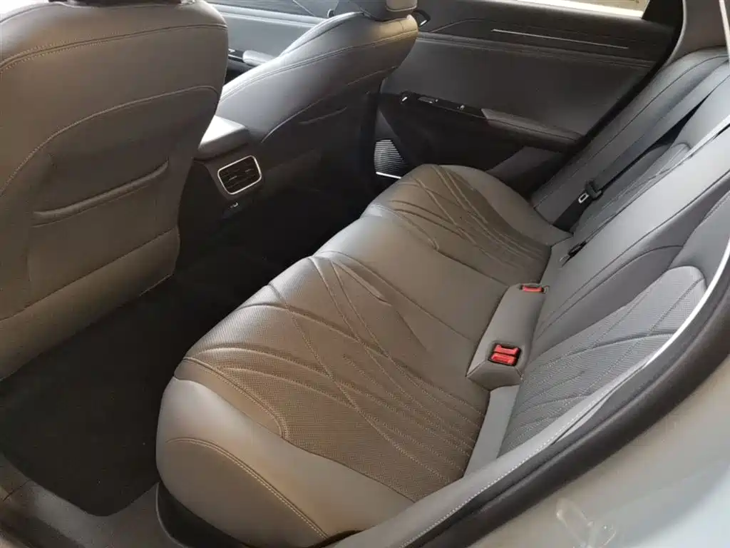 Geely Galaxy Galaxy L6 2025 EM-i 60km Voyage Edition фото 17