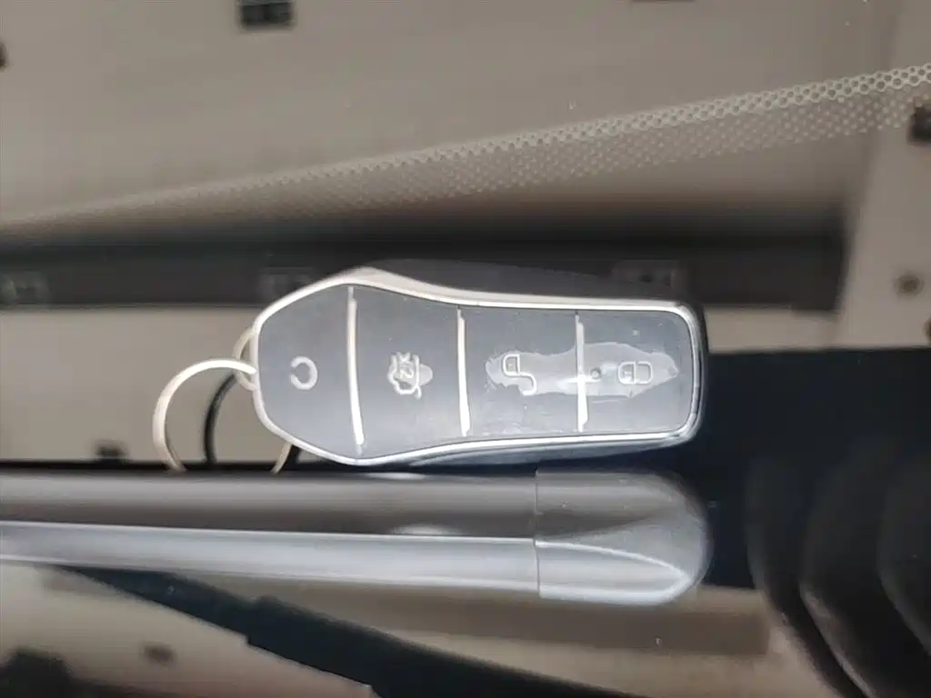 BYD Tang New Energy 2024 DM-i Honor Edition 112KM Premium фото 9
