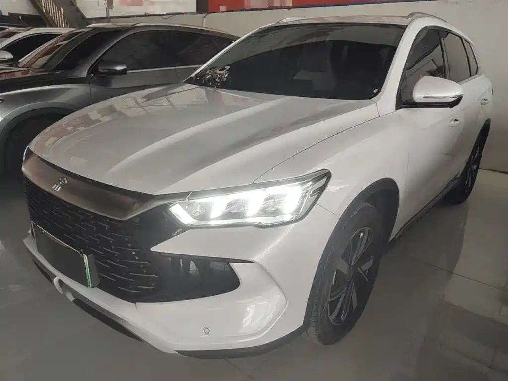 BYD Song Pro New Energy 2024 Glory Edition DM-i 71KM Pilot фото 2