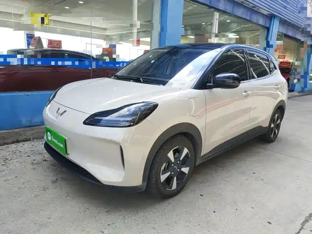 Wuling Motors Wuling Binguo PLUS 2024 510km Range 5-seater