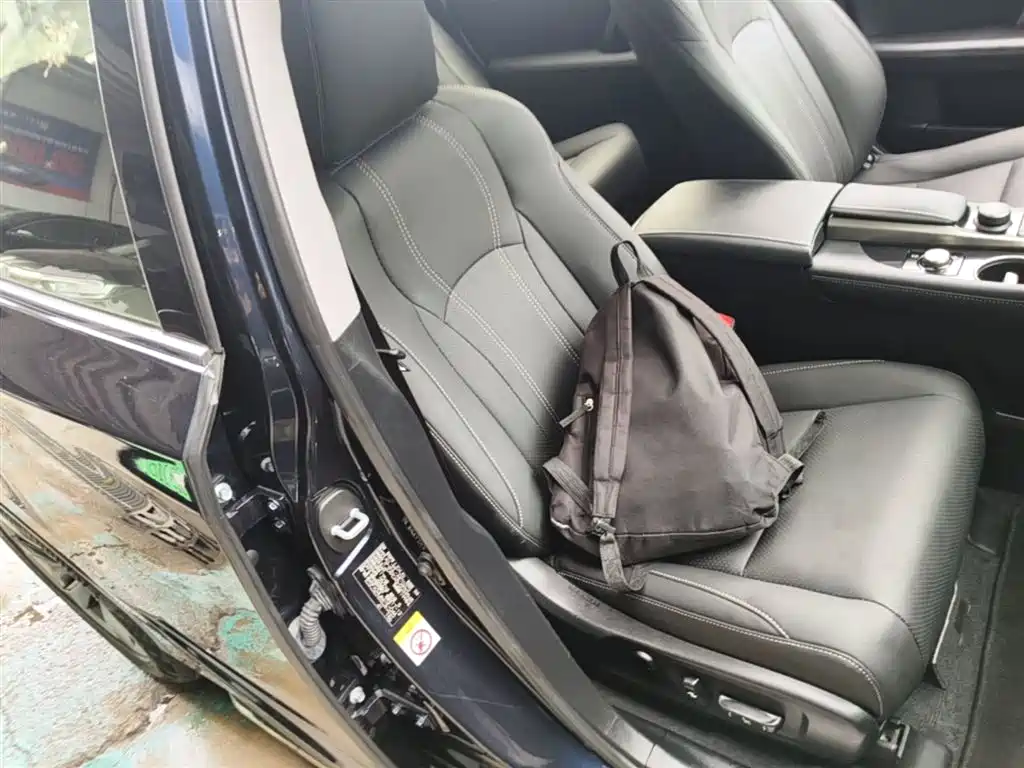 Lexus RX 2016 300 2WD Elite Edition (China V) фото 24