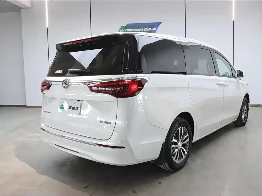 Buick GL8 2022 ES Landmark 653T Comfort фото 5