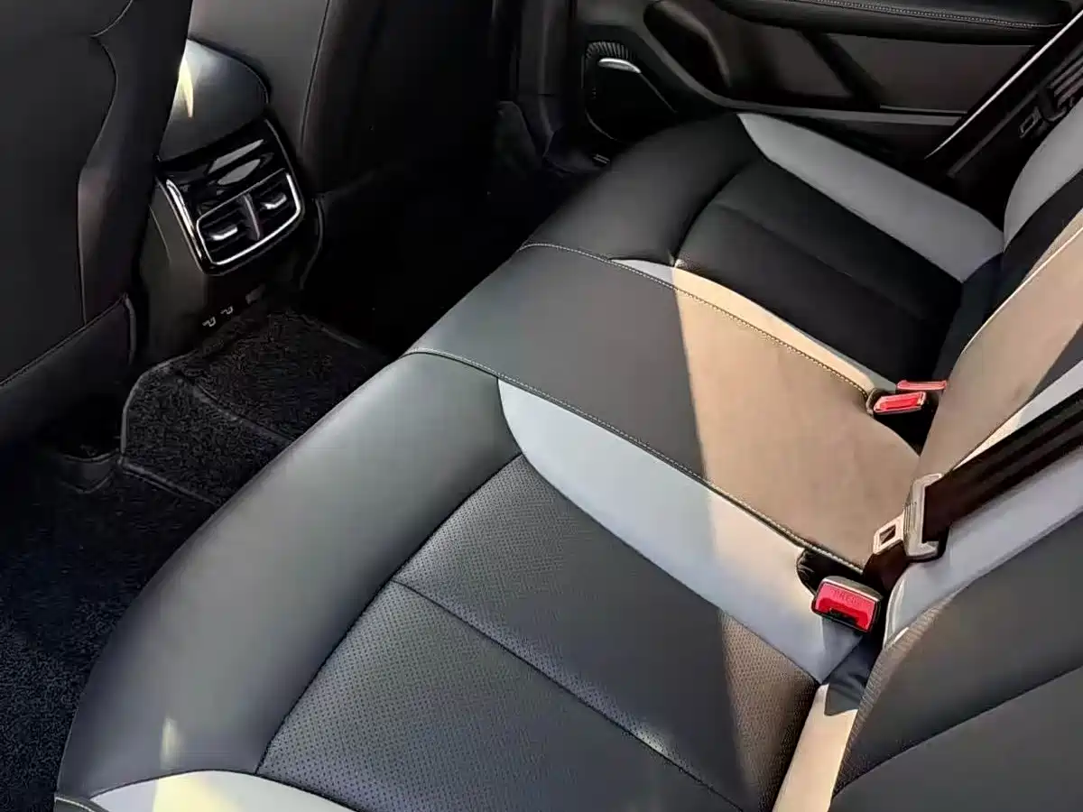 Фото 5 - Roewe i6 MAX EV