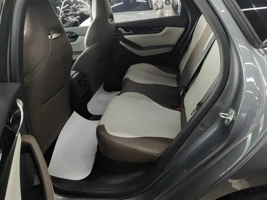 BYD Qin PLUS 2024 Glory Edition DM-i 55KM Leading фото 11