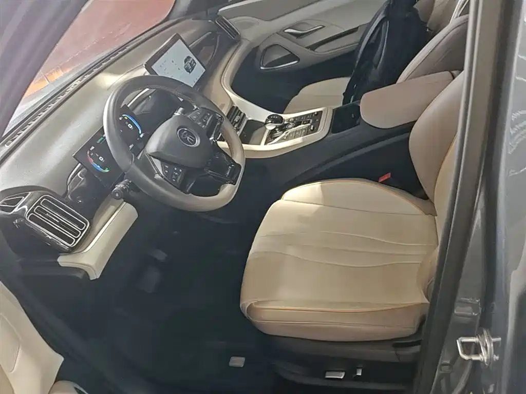 BYD Song Pro New Energy 2024 Glory Edition DM-i 71KM Pilot фото 15