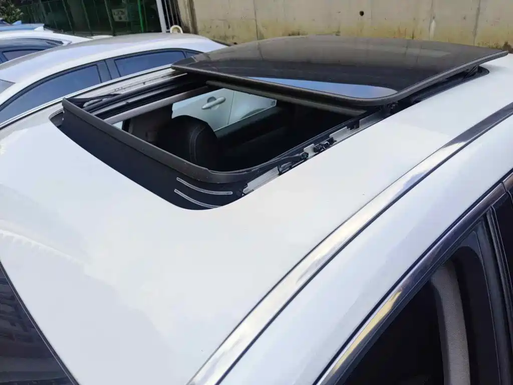 Фото 6 - Geely Borui