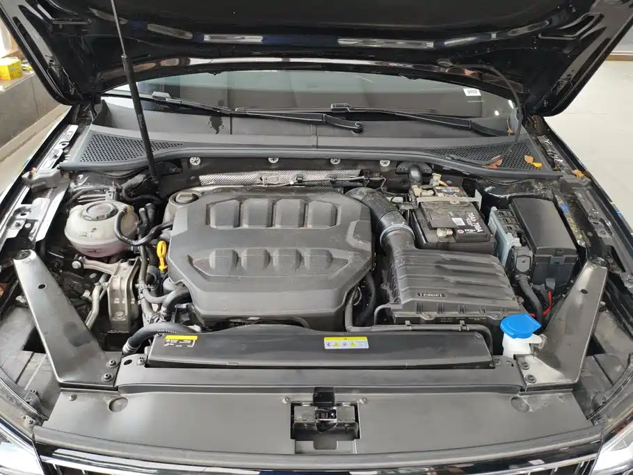 Volkswagen Magotan 2025 2026 Model 30 Million Special Selection 380TSI DSG Luxury