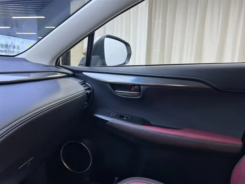 Lexus NX 2018 Model 300 FWD Fengxing Edition фото 17