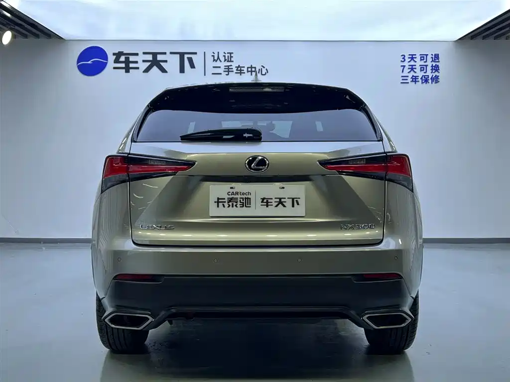 Lexus NX 2018 Model 300 FWD Fengxing Edition фото 6