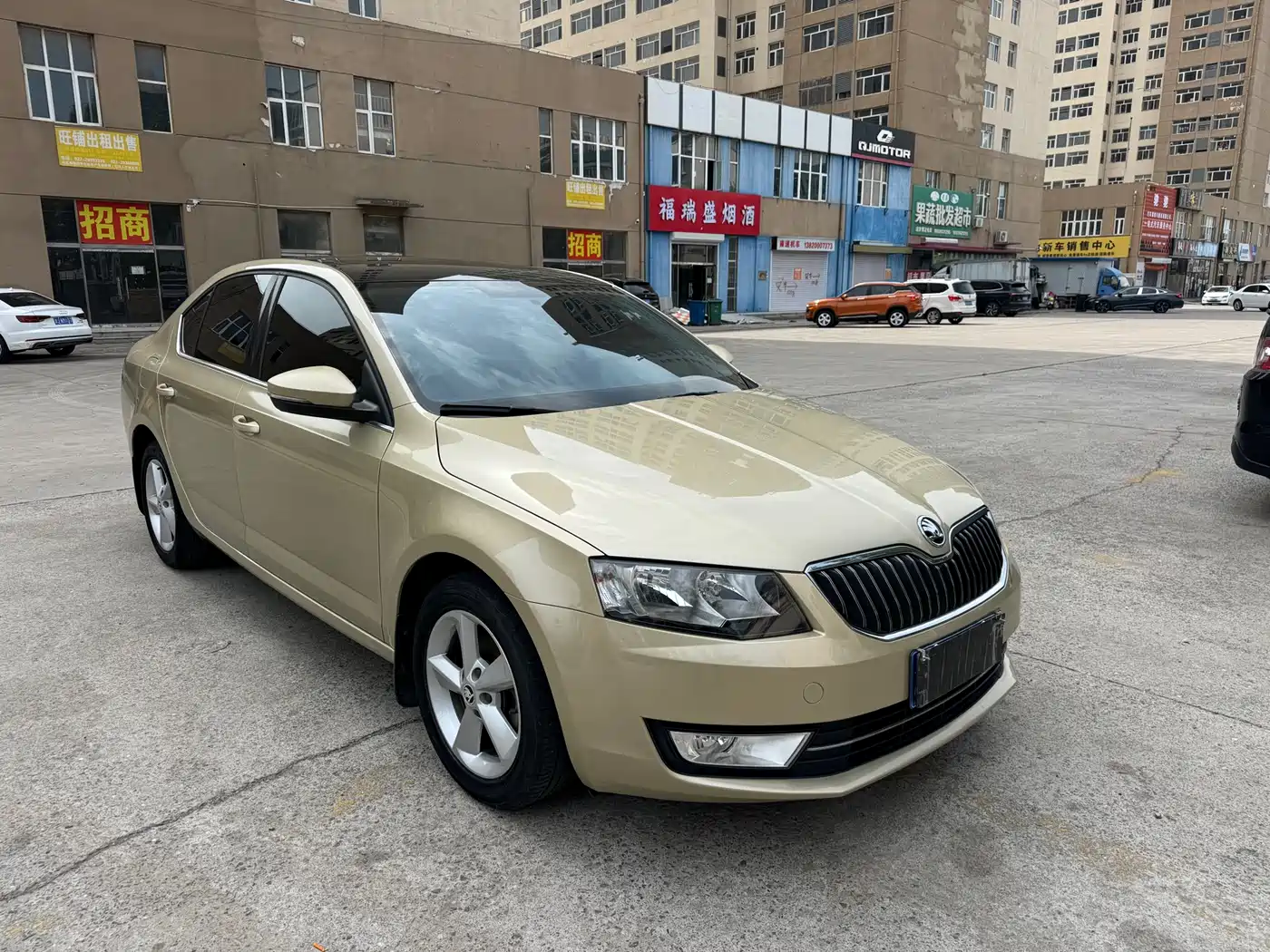 Škoda Octavia 2015 1.6L Manual逸俊版 фото 16