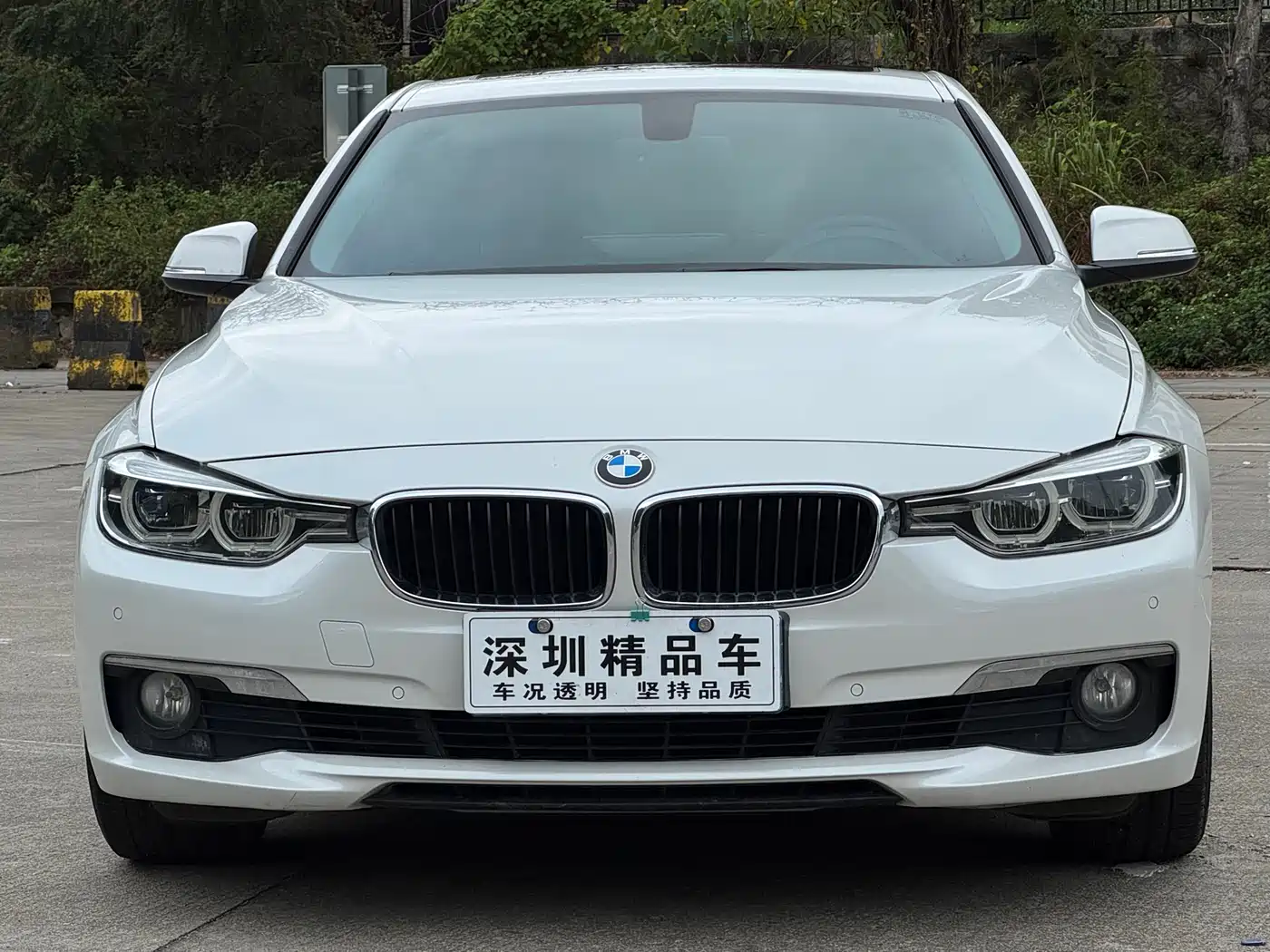 BMW 3 Series 2017 320Li Fashion фото 2