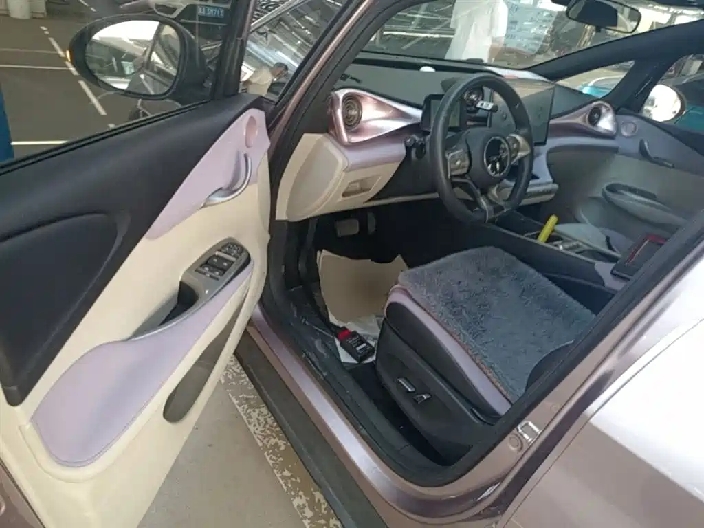 BYD Dolphin 2021 Model 405km Fashion Edition фото 15