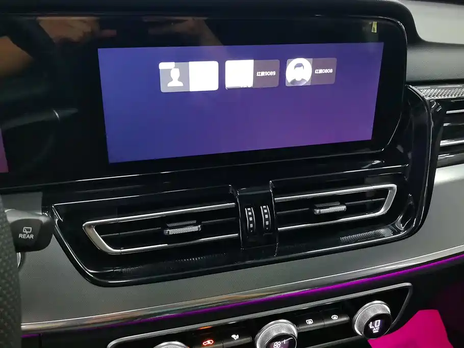 Hongqi HS5 2023 2.0T Flag Enjoy Pro Edition фото 13