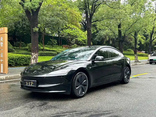 Tesla Model 3 Задний привод